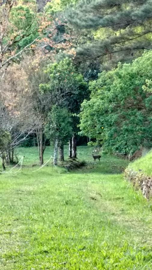Estalagem Reserva Da Collina Γκραμάντο Εξωτερικό φωτογραφία