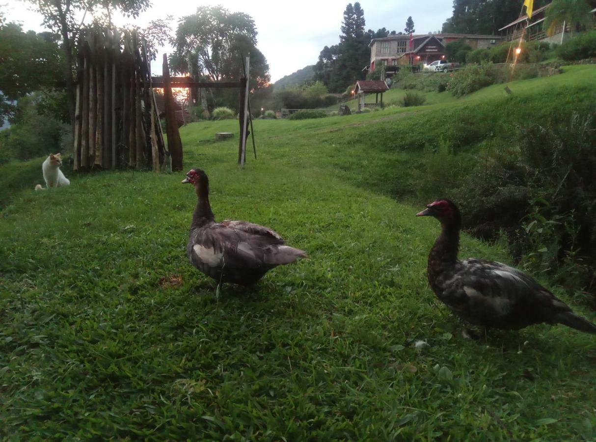 Estalagem Reserva Da Collina Γκραμάντο Εξωτερικό φωτογραφία
