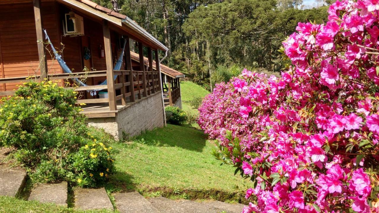 Estalagem Reserva Da Collina Γκραμάντο Εξωτερικό φωτογραφία