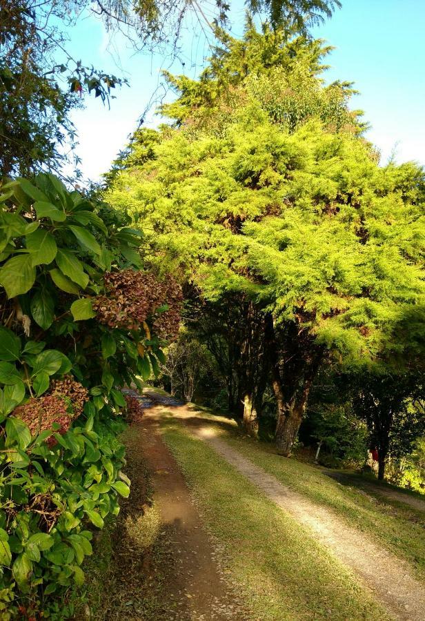 Estalagem Reserva Da Collina Γκραμάντο Εξωτερικό φωτογραφία