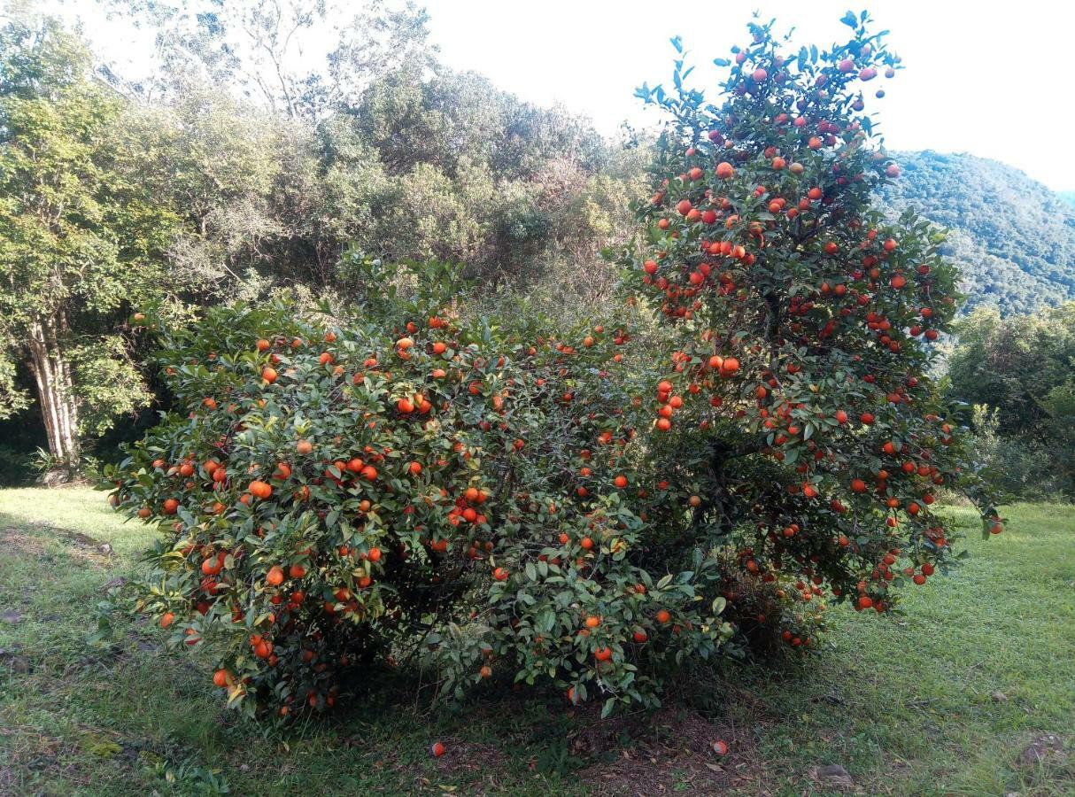 Estalagem Reserva Da Collina Γκραμάντο Εξωτερικό φωτογραφία